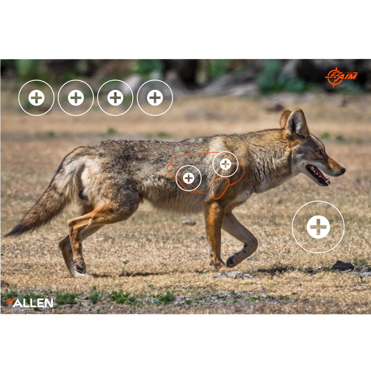 Coyote Paper Shooting Targets