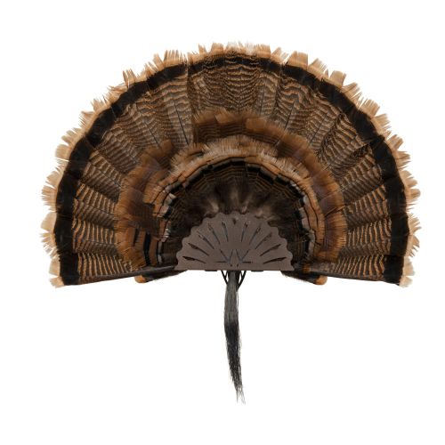 NEW Allen Company EZ Mount Turkey Fan Display, Brown