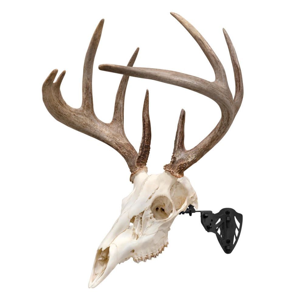 Allen Company EZ Mount Trophy Skull Hanger, Black