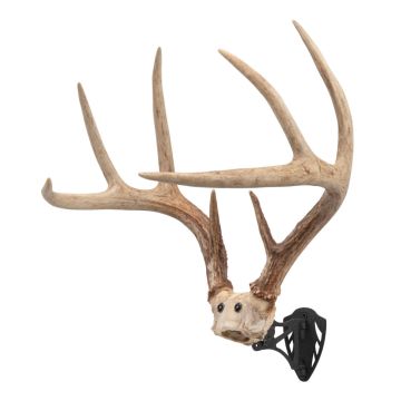 Allen Company EZ Mount Horn Bracket, Black