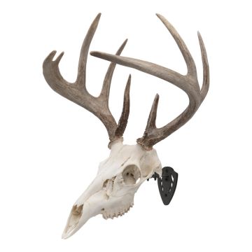 Allen Company EZ Mount Skull Hanger, Fixed, Black